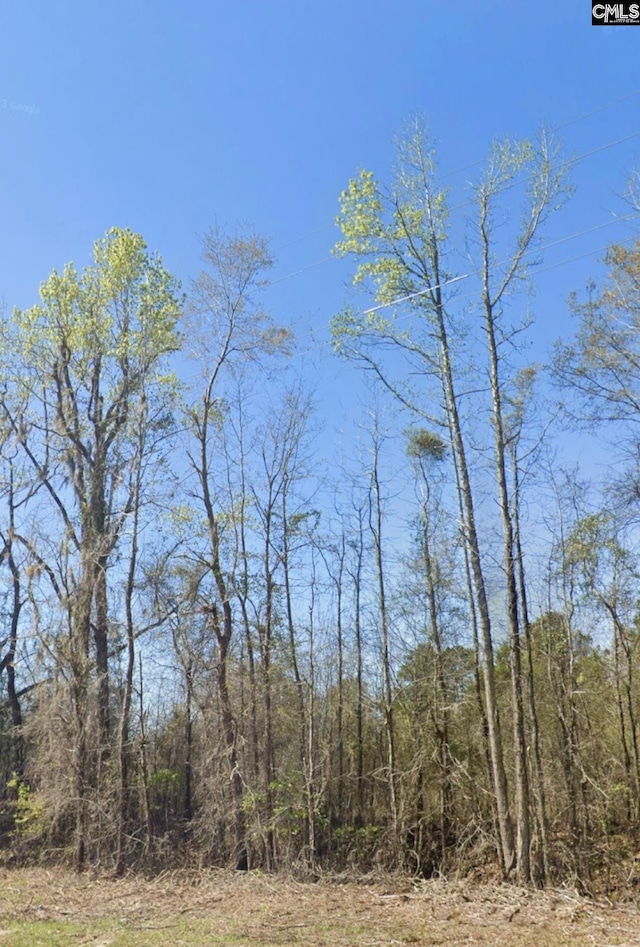 0 Broxton Bridge Rd, Bamberg, SC 29003