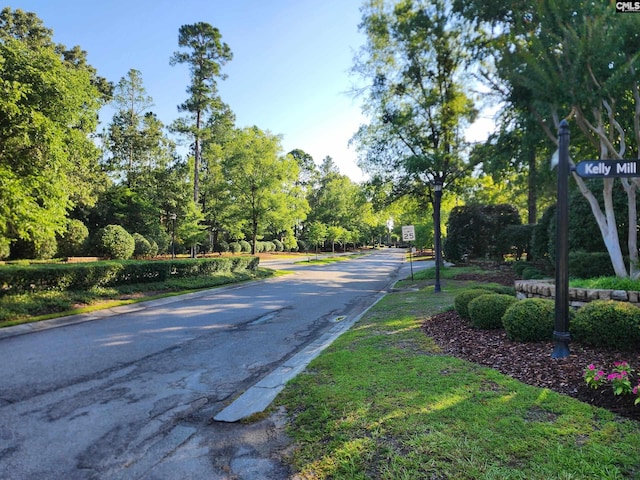 1 Crickentree Ct, Blythewood, SC 29016