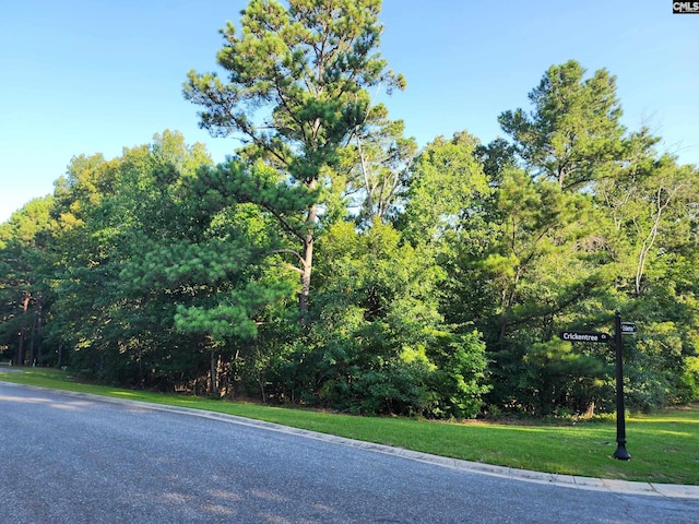 1 Crickentree Ct, Blythewood, SC 29016