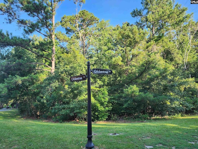 1 Crickentree Ct, Blythewood, SC 29016