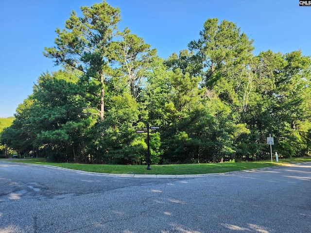 1 Crickentree Ct, Blythewood, SC 29016
