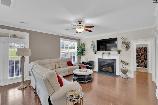 769 Broad Leaf Rd, Elgin, SC 29045 - living room with ceiling fan, wood finished floors, a fireplace with flush hearth, and ornamental molding