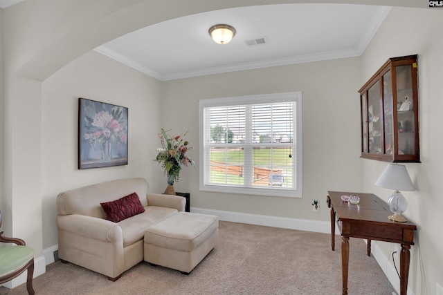 769 Broad Leaf Rd, Elgin, SC 29045 - sitting room featuring ornamental molding and light colored carpet
