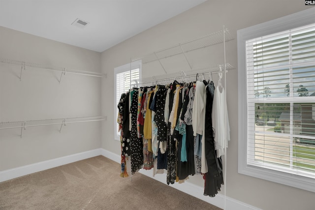 769 Broad Leaf Rd, Elgin, SC 29045 - spacious closet featuring carpet flooring