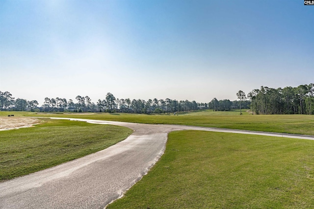769 Broad Leaf Rd, Elgin, SC 29045 - view of street with view of wooded area