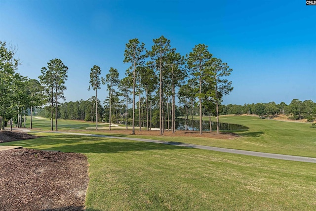 769 Broad Leaf Rd, Elgin, SC 29045 - view of community with a yard, a water view, and view of scattered trees