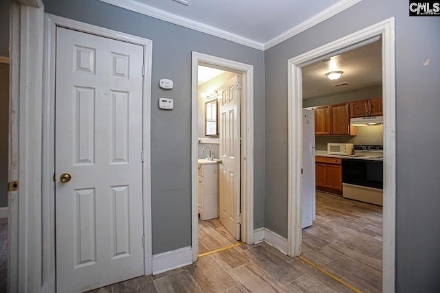 113 Brookland Cir, Columbia, SC 29204 - corridor with ornamental molding and wood tiled floors