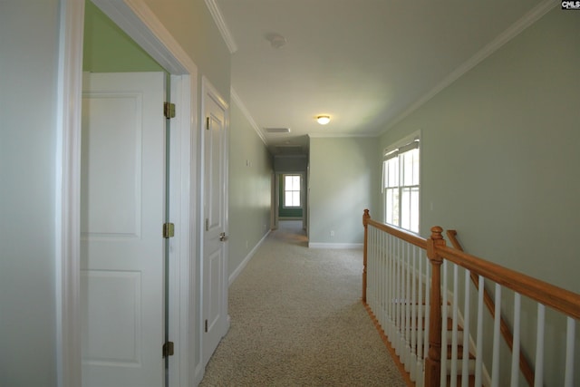 392 Highland Point Dr, Columbia, SC 29229 - corridor with crown molding and carpet flooring