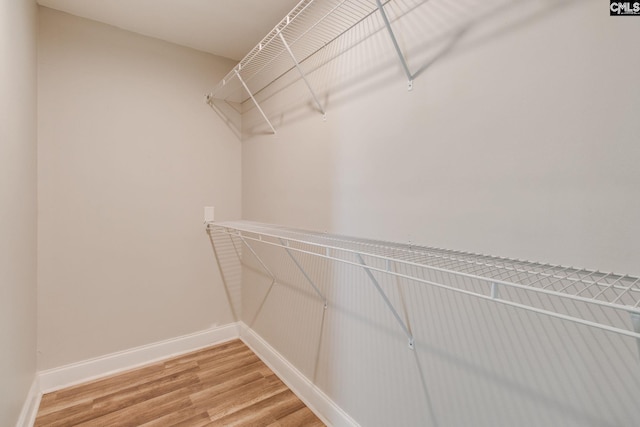 105 Garmony Cir, Columbia, SC 29212 - spacious closet with light wood-style floors
