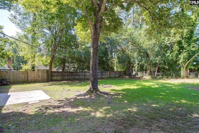 105 Garmony Cir, Columbia, SC 29212 - fenced backyard featuring a patio