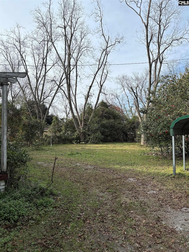 209 E Columbia Ave, Batesburg, SC 29070 - view of grassy yard