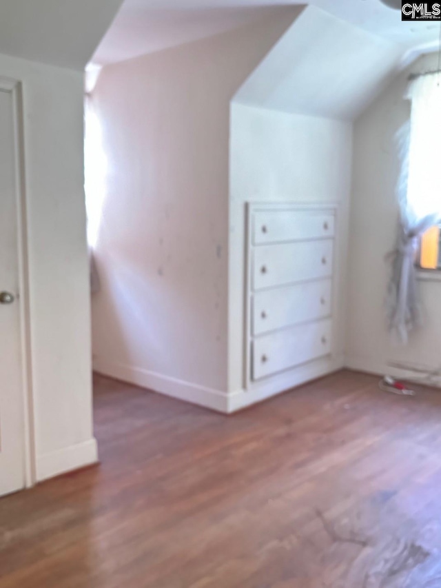 209 E Columbia Ave, Batesburg, SC 29070 - additional living space featuring wood finished floors and lofted ceiling