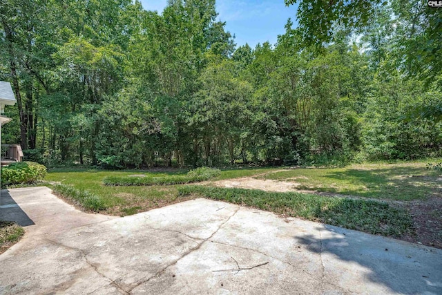 265 Thornhill Rd, Columbia, SC 29212 - view of green lawn featuring a patio area and a forest view