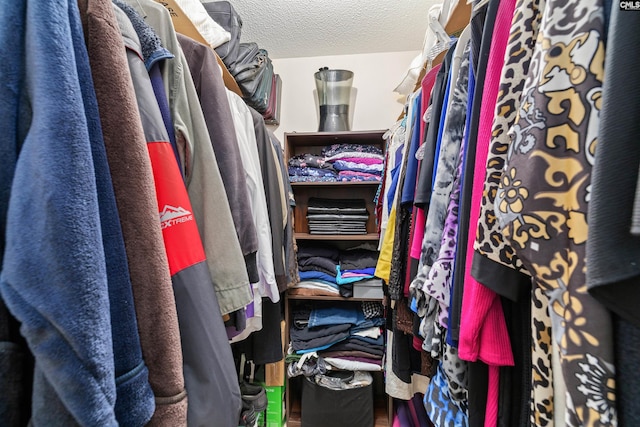 1220 Barnwell Dr, Sumter, SC 29154 - view of walk in closet