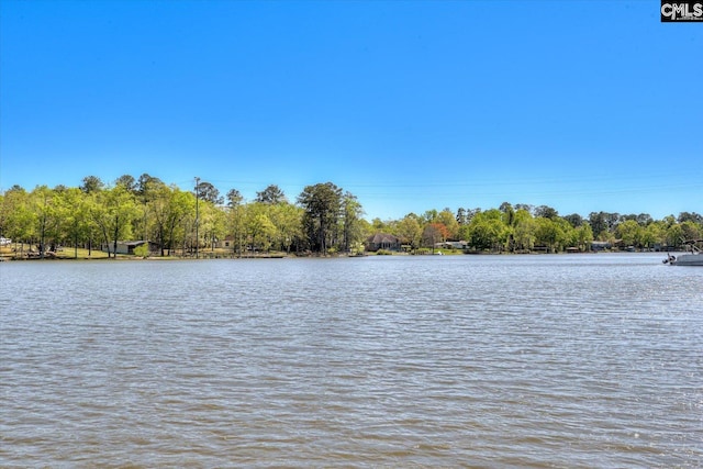 518 Pioneer Shores Rd, Prosperity, SC 29127 - water view featuring a tree filled landscape