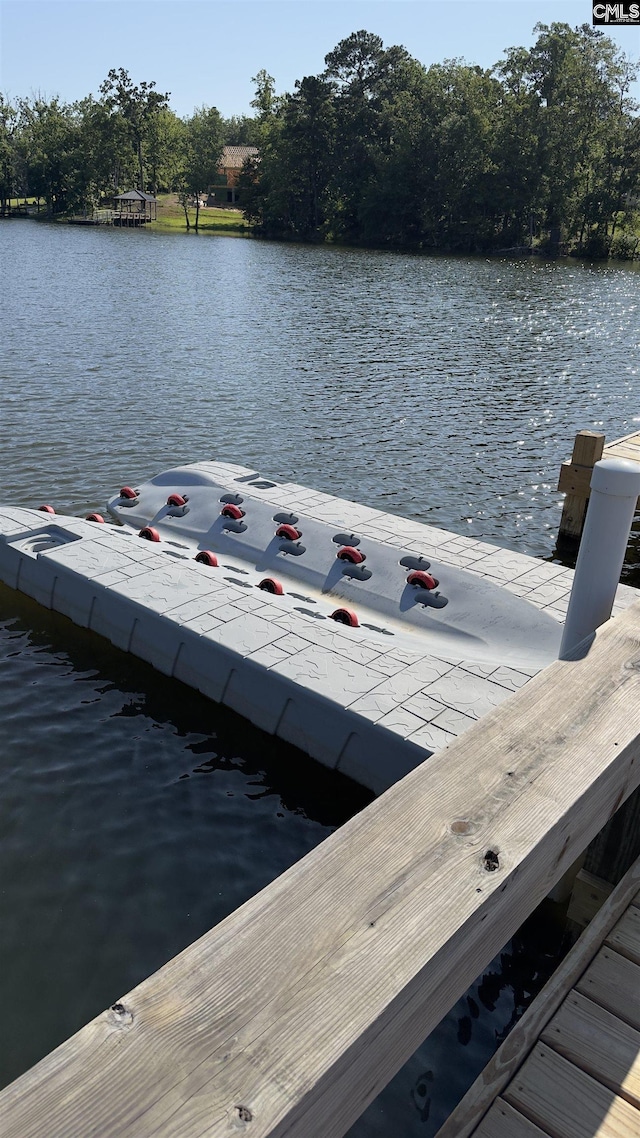 518 Pioneer Shores Rd, Prosperity, SC 29127 - dock with a water view