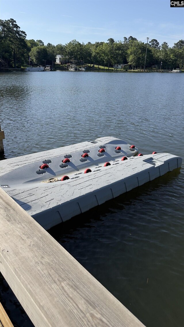 518 Pioneer Shores Rd, Prosperity, SC 29127 - dock area with a water view