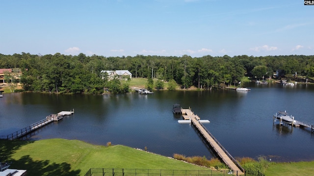 518 Pioneer Shores Rd, Prosperity, SC 29127 - dock with a water view and a wooded view