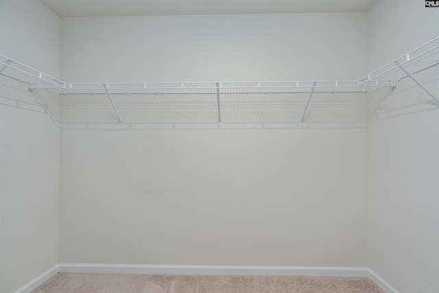 939 Sequoia Dr, Lexington, SC 29073 - walk in closet featuring light colored carpet