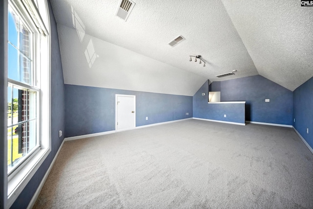 216 Founders Ridge Rd, Columbia, SC 29229 - additional living space with lofted ceiling, carpet flooring, and a textured ceiling