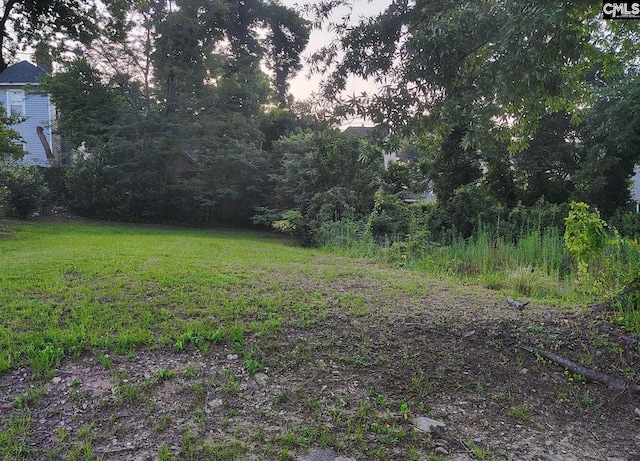 918 Walnut St, Columbia, SC 29205