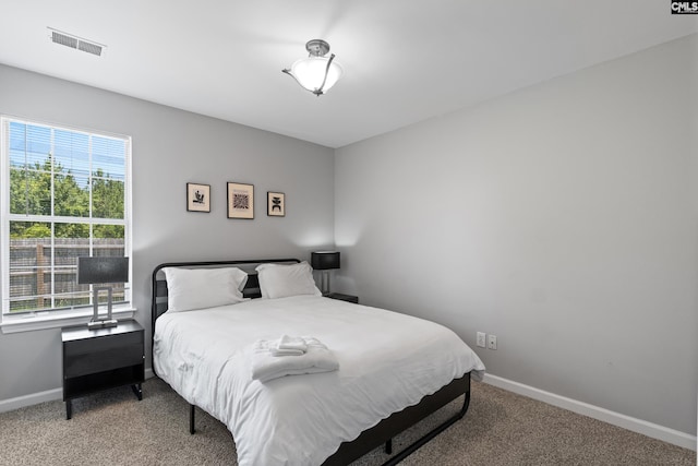 3 Fonthill Ct, Columbia, SC 29229 - bedroom with carpet flooring and baseboards