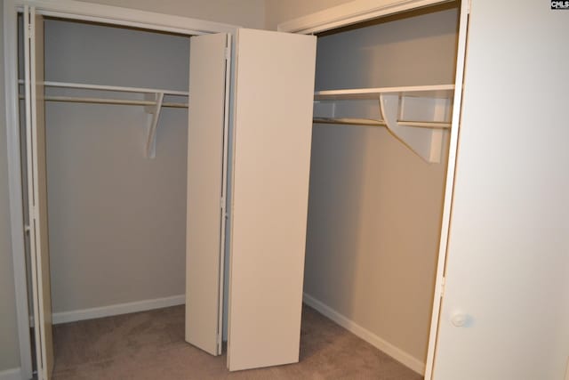 169 Lionsgate Rd, Columbia, SC 29223 - view of closet