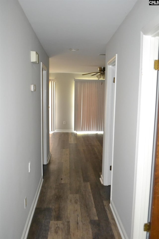 169 Lionsgate Rd, Columbia, SC 29223 - hallway with dark wood-type flooring and baseboards