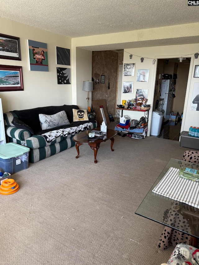 1520 Senate St Unit 197, Columbia, SC 29201 - carpeted living room featuring a textured ceiling