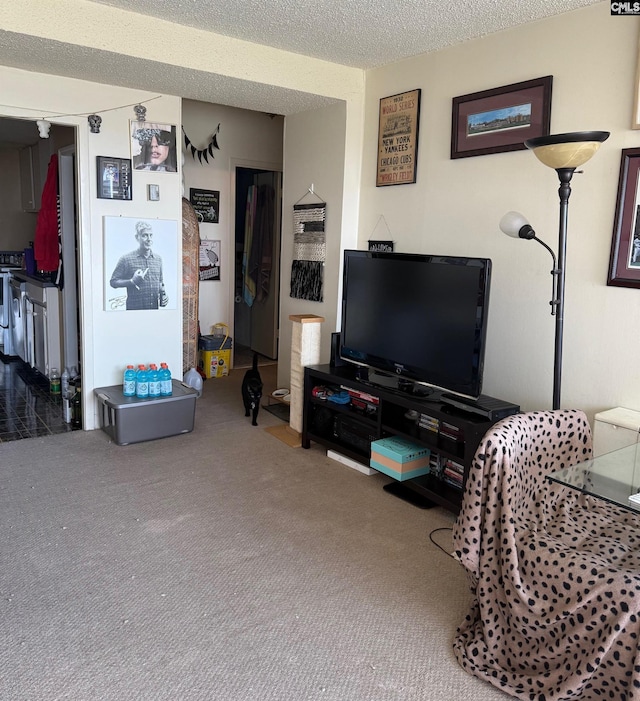 1520 Senate St Unit 197, Columbia, SC 29201 - carpeted living room with a textured ceiling