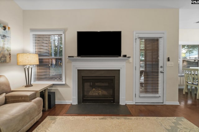 6 Genessee Ct, Irmo, SC 29063 - living area with wood finished floors and a fireplace with flush hearth