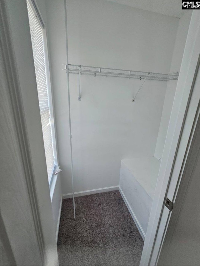 11 Long Glen Ct, Columbia, SC 29229 - spacious closet featuring carpet