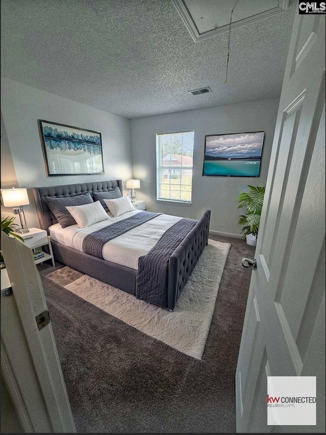 11 Long Glen Ct, Columbia, SC 29229 - bedroom with attic access, carpet, and a textured ceiling