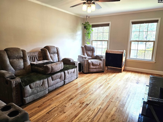 904 Sunnyhill Dr, Camden, SC 29020 - living room with a ceiling fan, wood finished floors, and crown molding