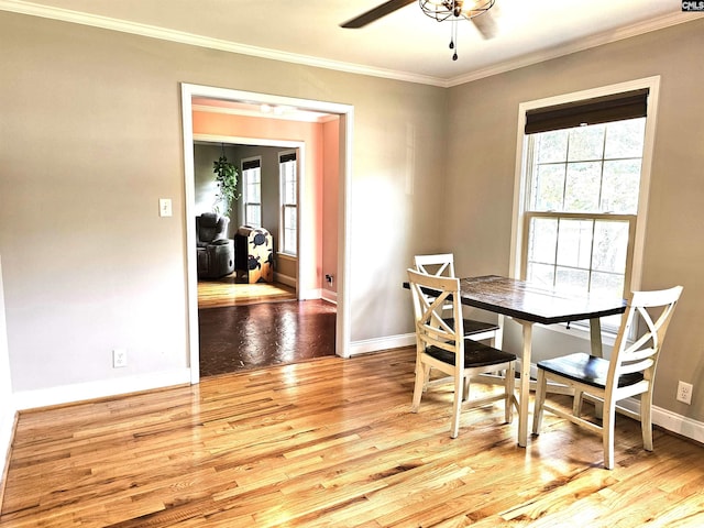 904 Sunnyhill Dr, Camden, SC 29020 - dining room featuring healthy amount of natural light, crown molding, wood finished floors, and ceiling fan