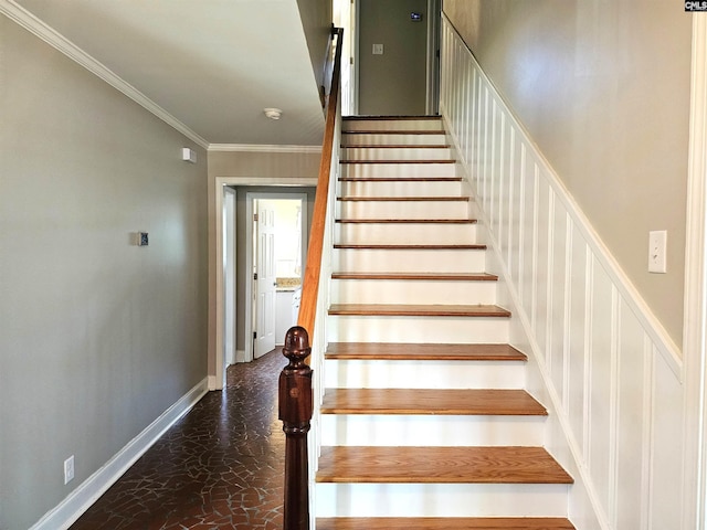 904 Sunnyhill Dr, Camden, SC 29020 - stairway with crown molding and baseboards