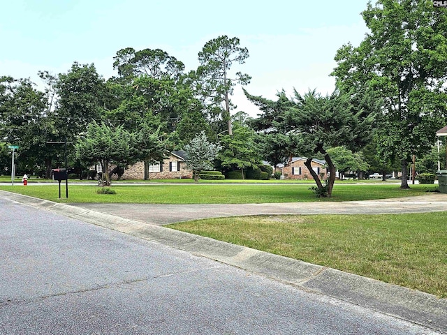 904 Sunnyhill Dr, Camden, SC 29020 - view of asphalt road with curbs