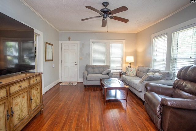 616 Mcrae Rd, Camden, SC 29020 - living room featuring dark wood-style flooring, ceiling fan, plenty of natural light, ornamental molding, and a textured ceiling
