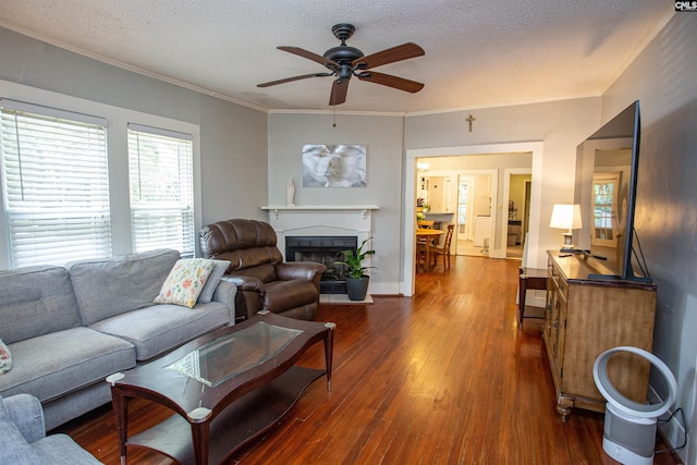616 Mcrae Rd, Camden, SC 29020 - living area with a ceiling fan, dark wood-type flooring, a textured ceiling, a fireplace with flush hearth, and ornamental molding
