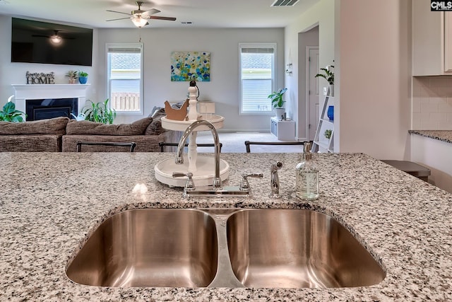 142 Summer Orchard Dr, Lexington, SC 29072 - detailed view of a ceiling fan, a fireplace, and backsplash