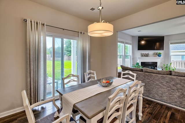 142 Summer Orchard Dr, Lexington, SC 29072 - dining area with dark wood-type flooring, plenty of natural light, and a glass covered fireplace