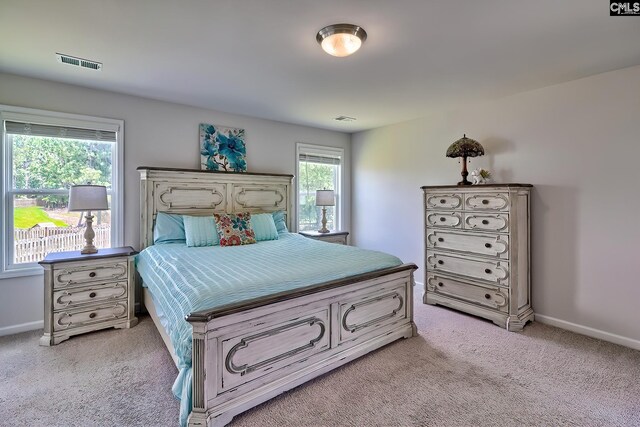 142 Summer Orchard Dr, Lexington, SC 29072 - bedroom with light carpet