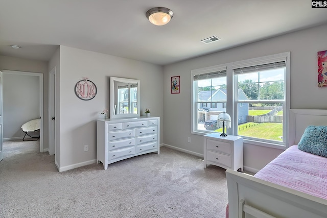 142 Summer Orchard Dr, Lexington, SC 29072 - bedroom featuring light carpet