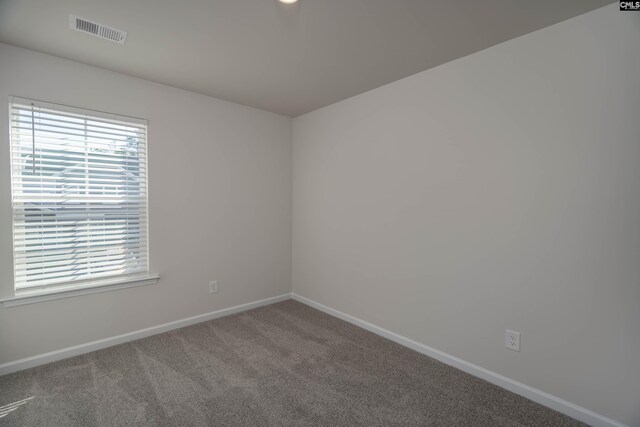 739 Wild Duck Ln, Columbia, SC 29203 - unfurnished room featuring carpet and plenty of natural light