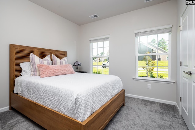 186 Backspin Dr, Elgin, SC 29045 - bedroom featuring baseboards and carpet floors