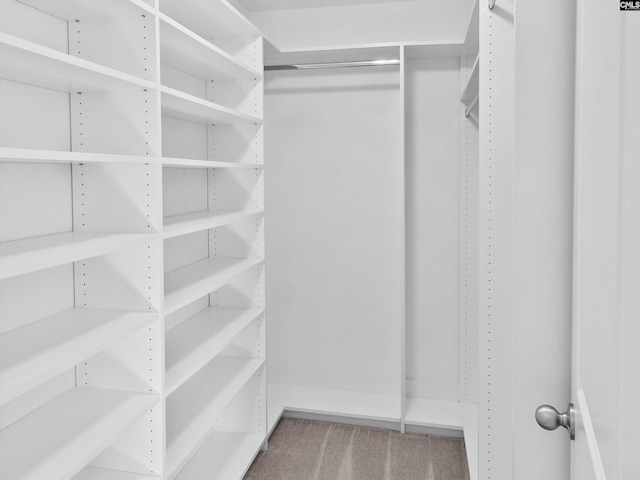 393 Denman Loop, Columbia, SC 29229 - spacious closet featuring carpet