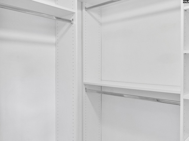 393 Denman Loop, Columbia, SC 29229 - view of spacious closet