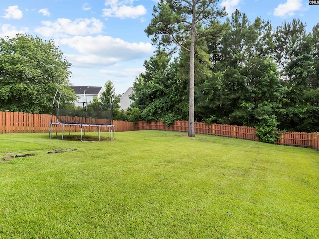 393 Denman Loop, Columbia, SC 29229 - fenced backyard with a trampoline