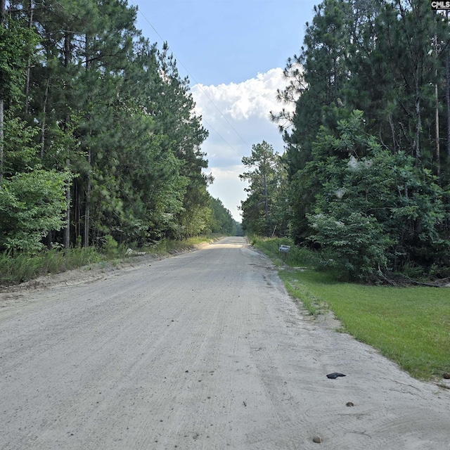 1321 Spring Creek Rd, Lugoff, SC 29078 - view of dirt / gravel road