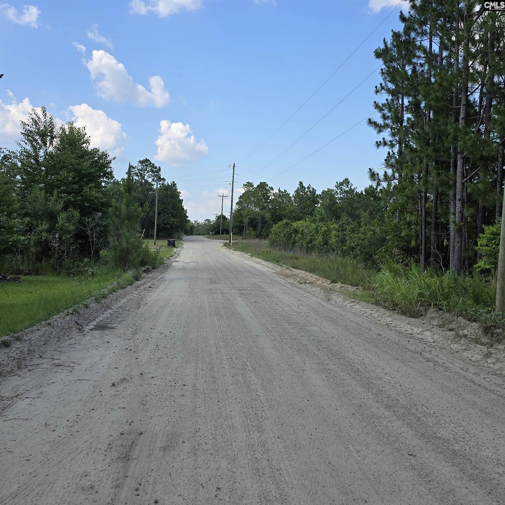 1321 Spring Creek Rd, Lugoff, SC 29078 - view of dirt / gravel road